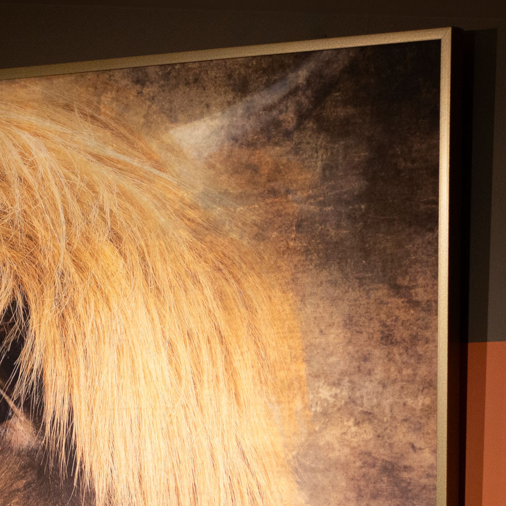 Framed canvas Georgie 120 x 90cm - TL6662 - Image 3