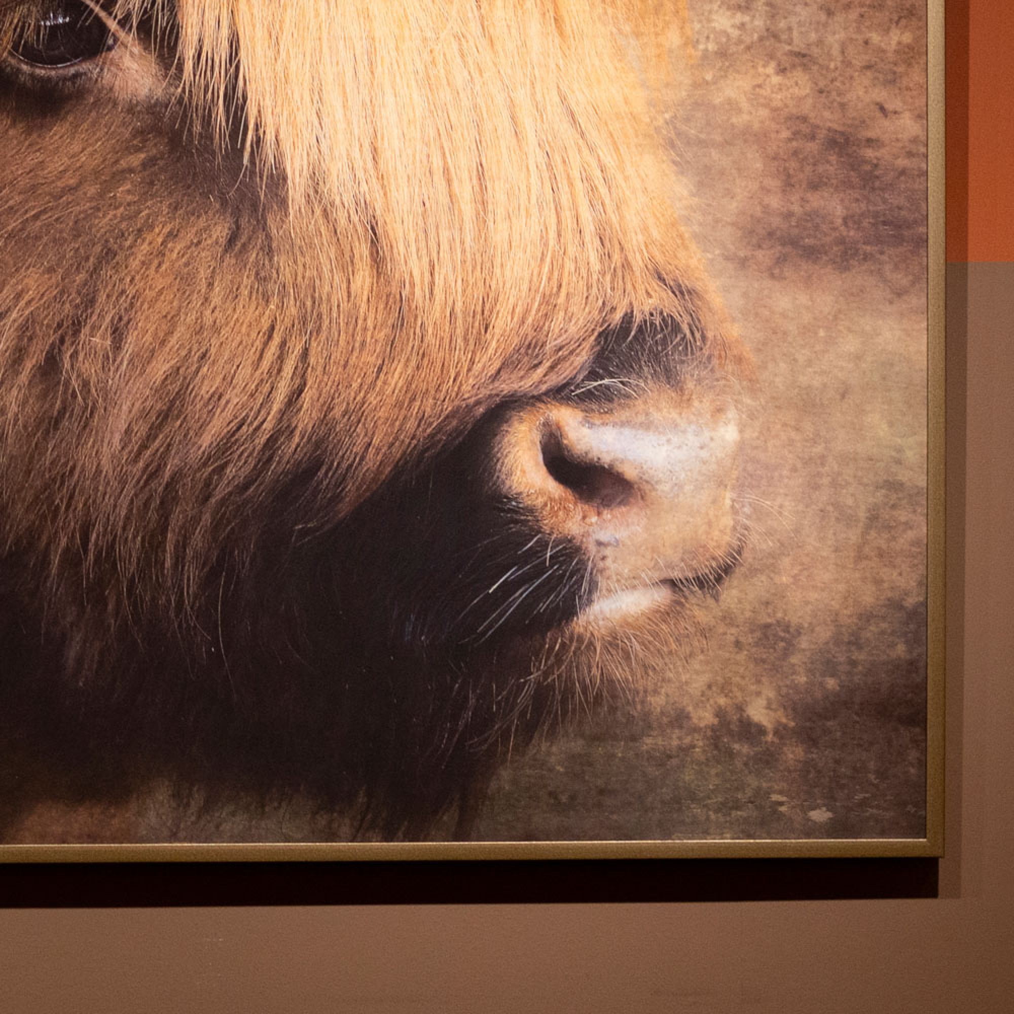 Framed canvas Georgie 120 x 90cm - TL6662 - Image 4