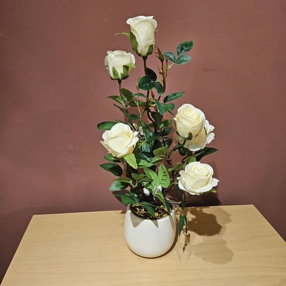 Potted rose plant | White TL6530