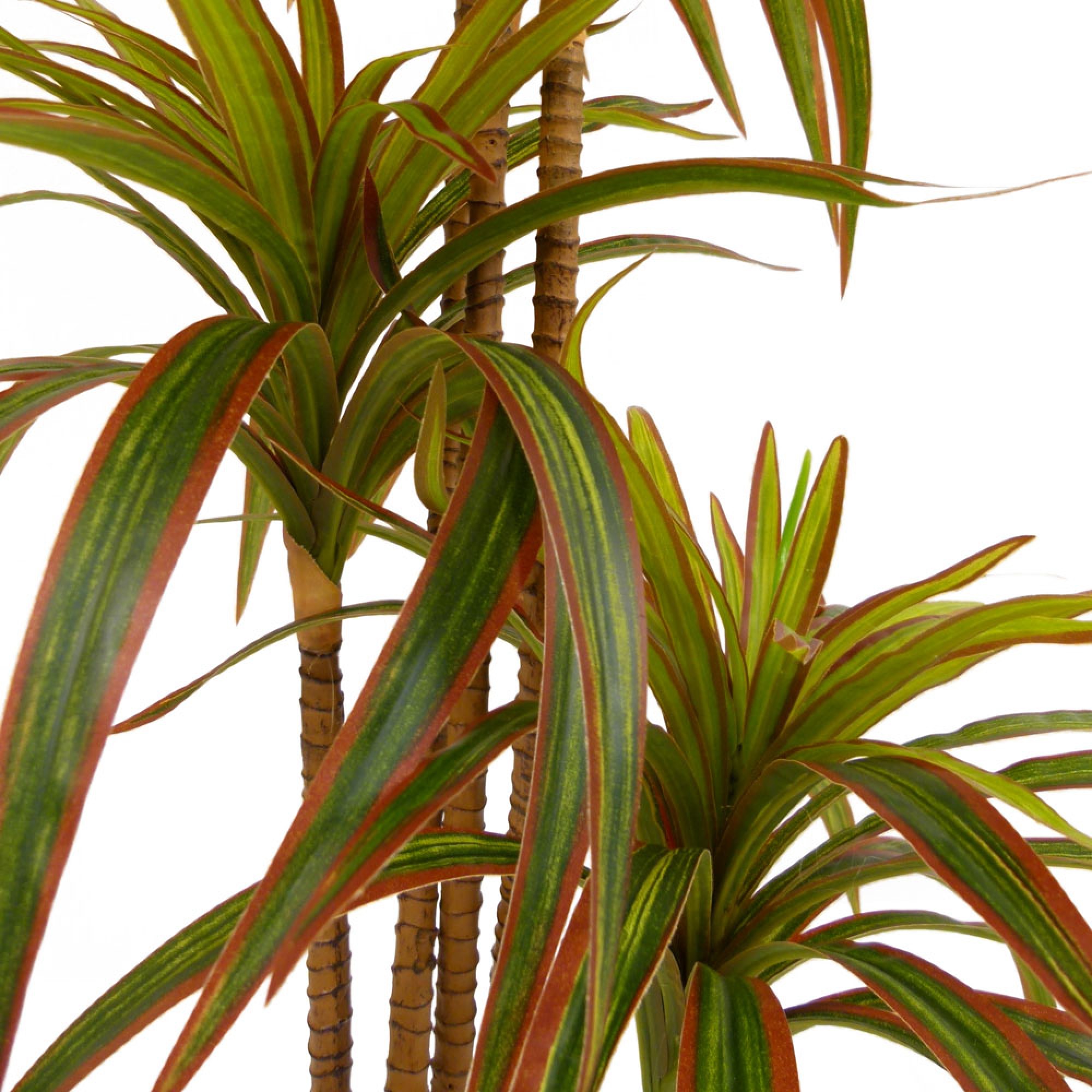 Artificial chlorophytum tree red/green 100cm - Image 3