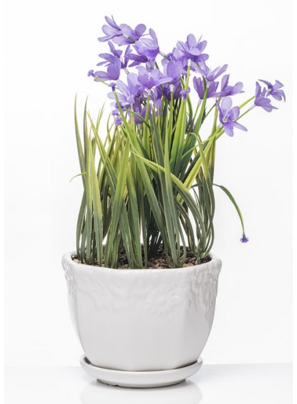 The Grange Collection Artificial Flowers in Ceramic Pot - Purple Product Code: SW3 Availability: In Stock
