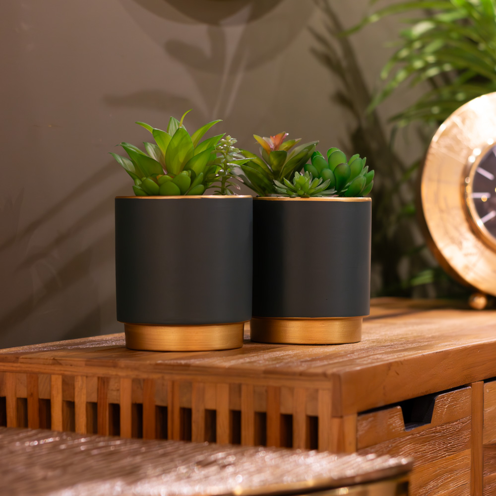 Potted Succulent Plant Teal Pot Assorted 20CM