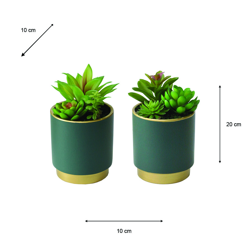 Potted Succulent Plant Teal Pot Assorted 20CM - Image 4