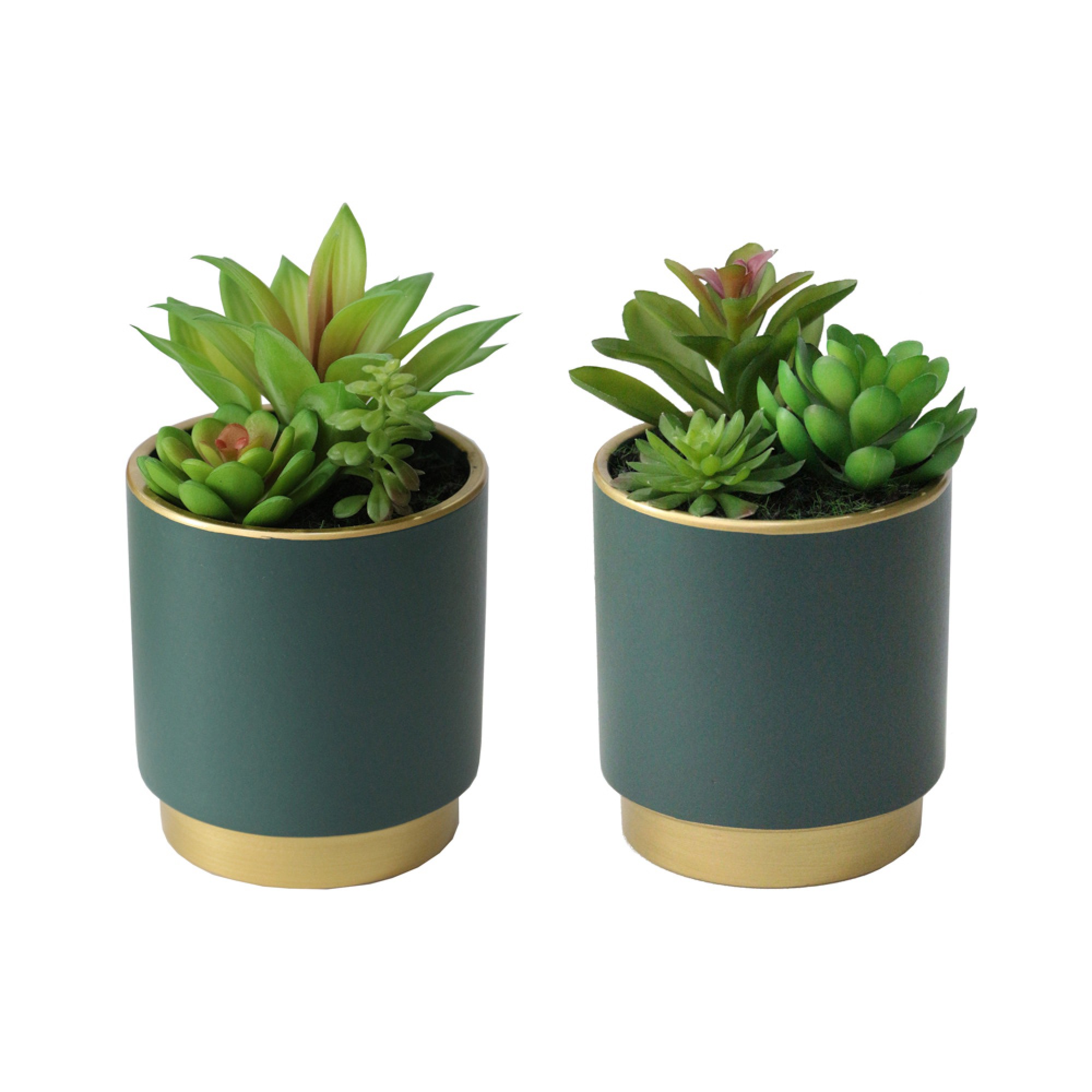 Potted Succulent Plant Teal Pot Assorted 20CM - Image 3